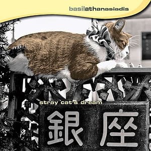 Basil Athanasiadis 'Stray Cat's Dream'
