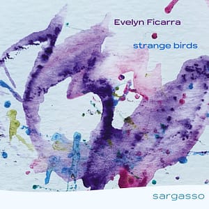 Evelyn Ficarra 'strange birds'